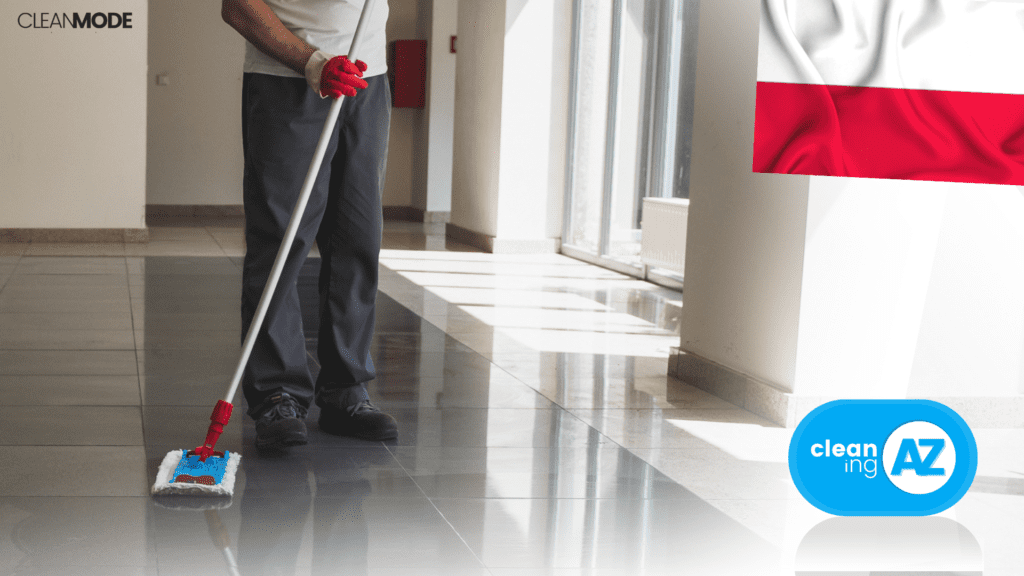 Szkolenie online. Podstawy. Cleaning AZ. PRofesjonalne utrzymanie czystości.